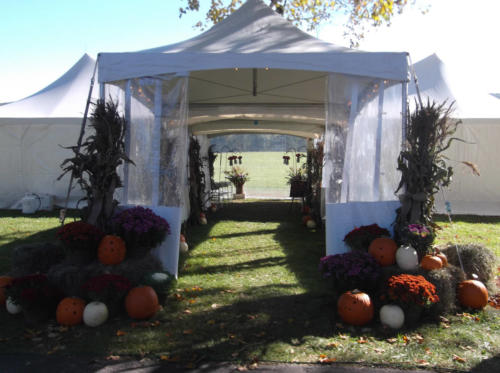 10' x 20' frame tent entry