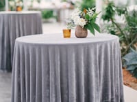 https://lakesregiontent.com/wp-content/images/velvet-linens-for-rent.jpg